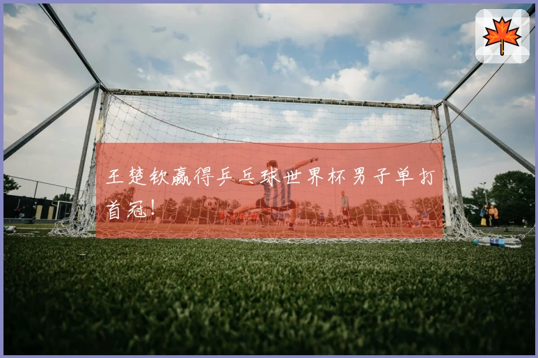 王楚钦赢得乒乓球世界杯男子单打首冠！